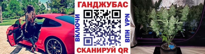 Конопля планчик  Ак-Довурак 